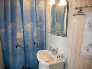 Douche, séchoir à cheveux, serviettes fournies, savon