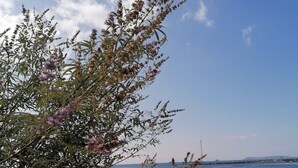 Une mer calme, avec un bateau à l’horizon et un arbre aux fleurs violettes au premier plan.