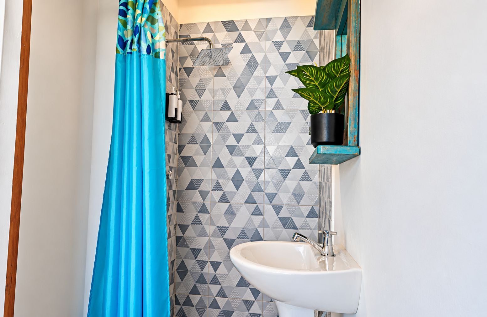 A bathroom with a shower, a sink, and a potted plant.