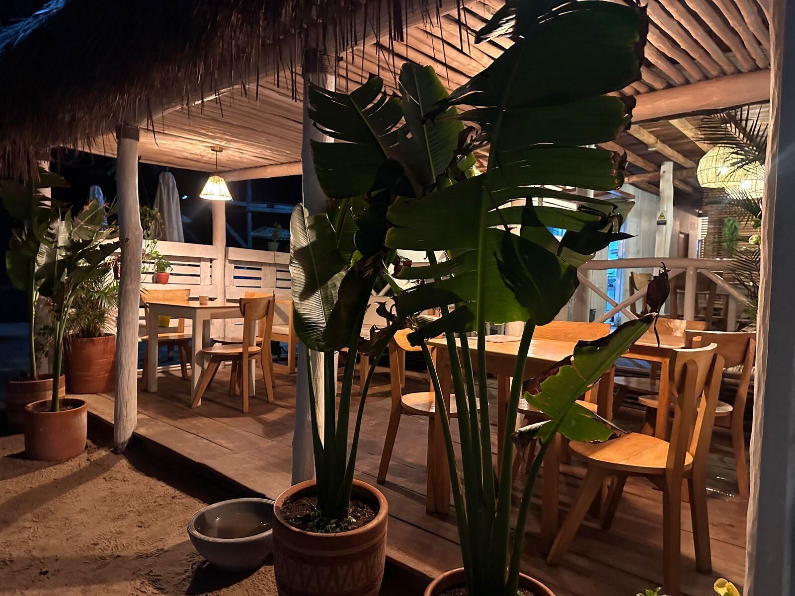An outdoor dining area with wooden tables and chairs, surrounded by potted plants.