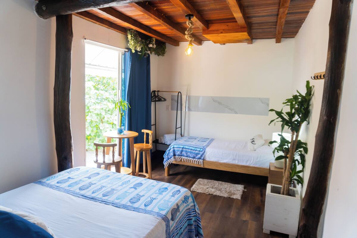 A room with two beds, a small table, chairs, a hanging plant, and a ceiling fan.