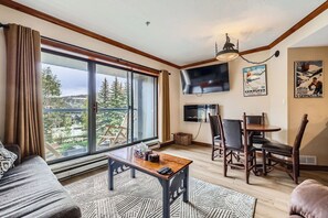 TV, fireplace, offices