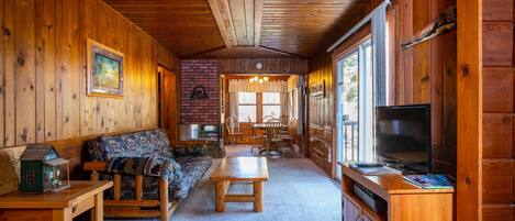 Smart TV, chimenea y reproductor de DVD