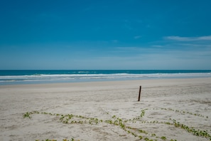 In Strandnähe