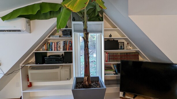 A room with a large plant in a square planter, a bookshelf filled with books, a television, and a window with a view of greenery. - Private two story guesthouse in Takoma Park (Takoma Park)