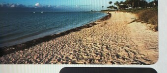 Pet Friendly Half-Duplex Cottage with kayaks and 40' Slip Option at Marina