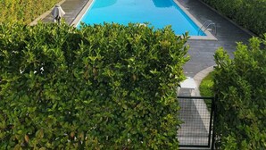 A rectangular swimming pool surrounded by lush greenery, with a small building and a clear view of the landscape in the background.