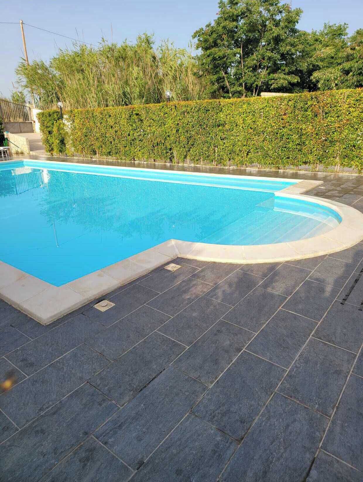 Una piscina rectangular con borde curvo, rodeada por un seto y una terraza con baldosas.
