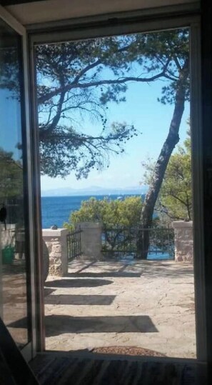 Vista desde la propiedad