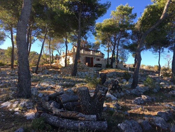Disseny de l'edifici