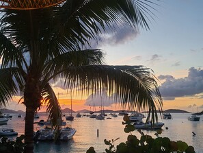 Un puerto deportivo con barcos amarrados, palmeras y un atardecer al fondo.