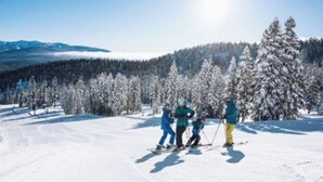 Snø- og skisport