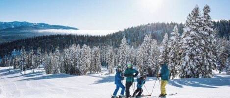 Snø- og skisport