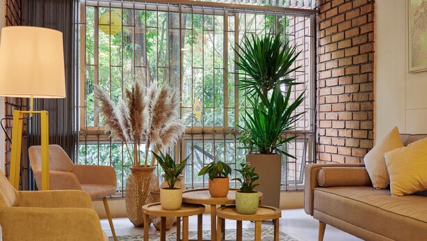 A modern living room with a sofa, two armchairs, a coffee table, and a floor lamp. There are several potted plants and a large window with a view of greenery. - Provenza's Retreat - Tranquil 2BR-2BA Apartment (Medellín)