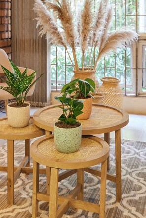 Ein Zimmer mit drei Holztischen, jeder Tisch mit Untersetzer aus Bändern und einer Blumentopf-Pflanze.
