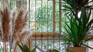 A room with large windows, wooden furniture, and potted plants. - Provenza's Retreat - Tranquil 2BR-2BA Apartment (Medellín)