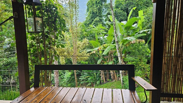 A wooden bench with a view of lush greenery and mountains. - Green Area House (Angra dos Reis)