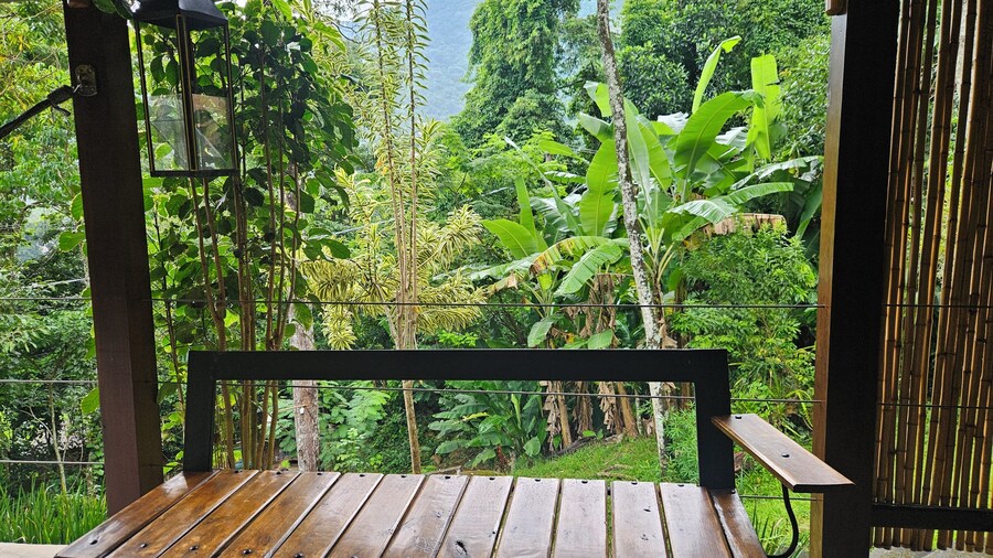 Green Area House