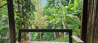 Green Area House