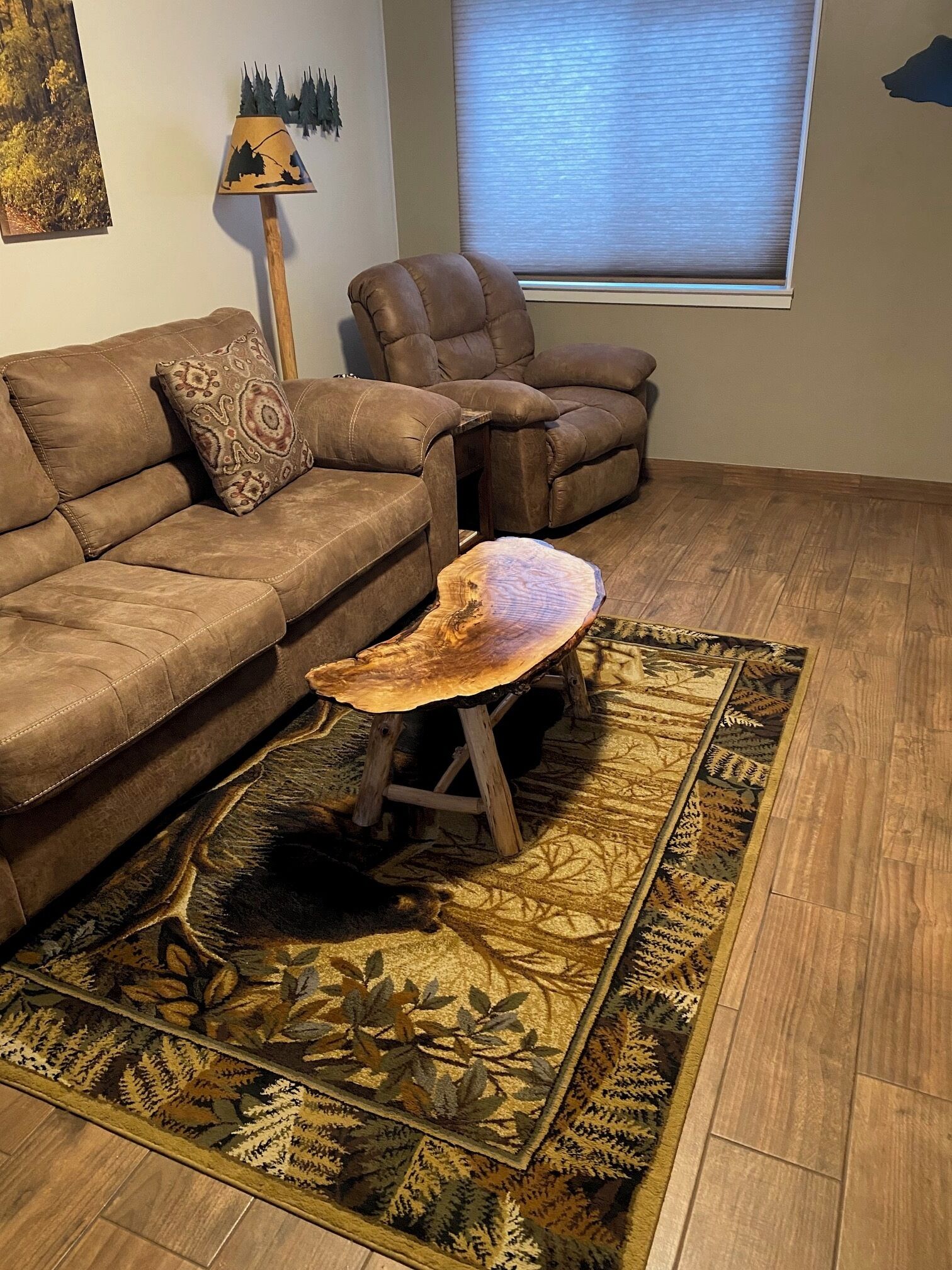 Smart TV, fireplace, DVD player, video library