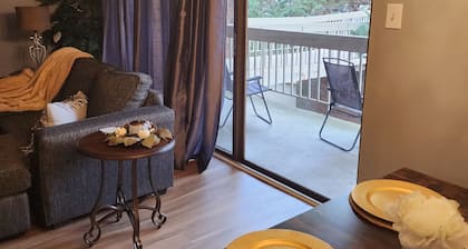 Cozy 2 Bedroom Condo 2 Miles from UNC-Chapel Hill