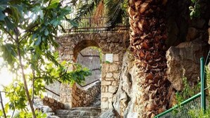 Una escalera de piedra que sube hacia un arco de piedra, rodeado de follaje y una barandilla de metal.