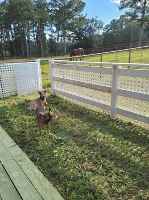 Property grounds