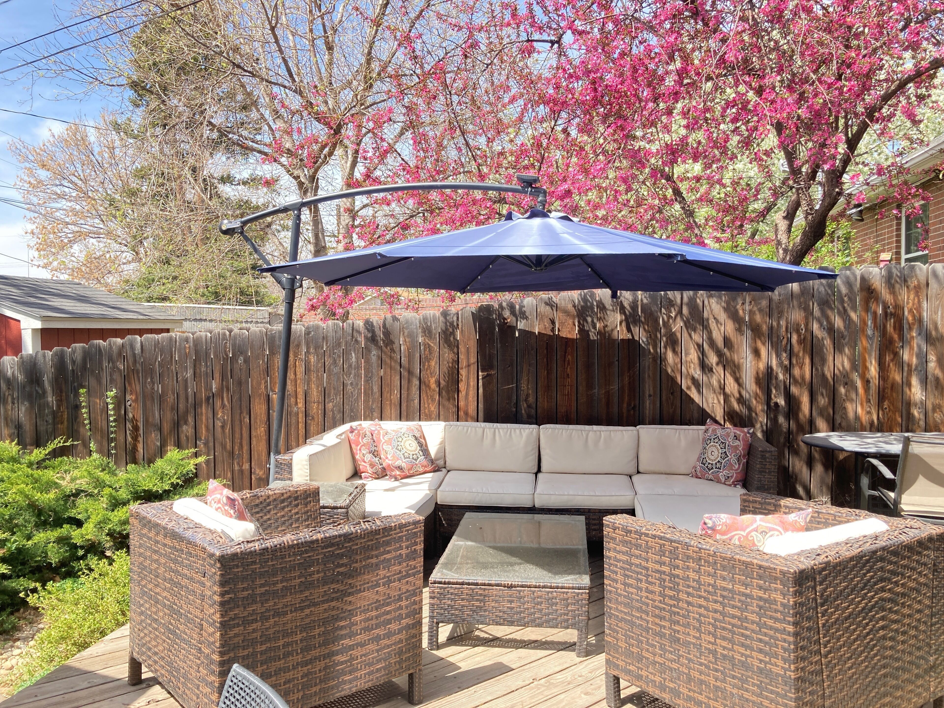 Spacious 2 BR in Gorgeous Park Hill