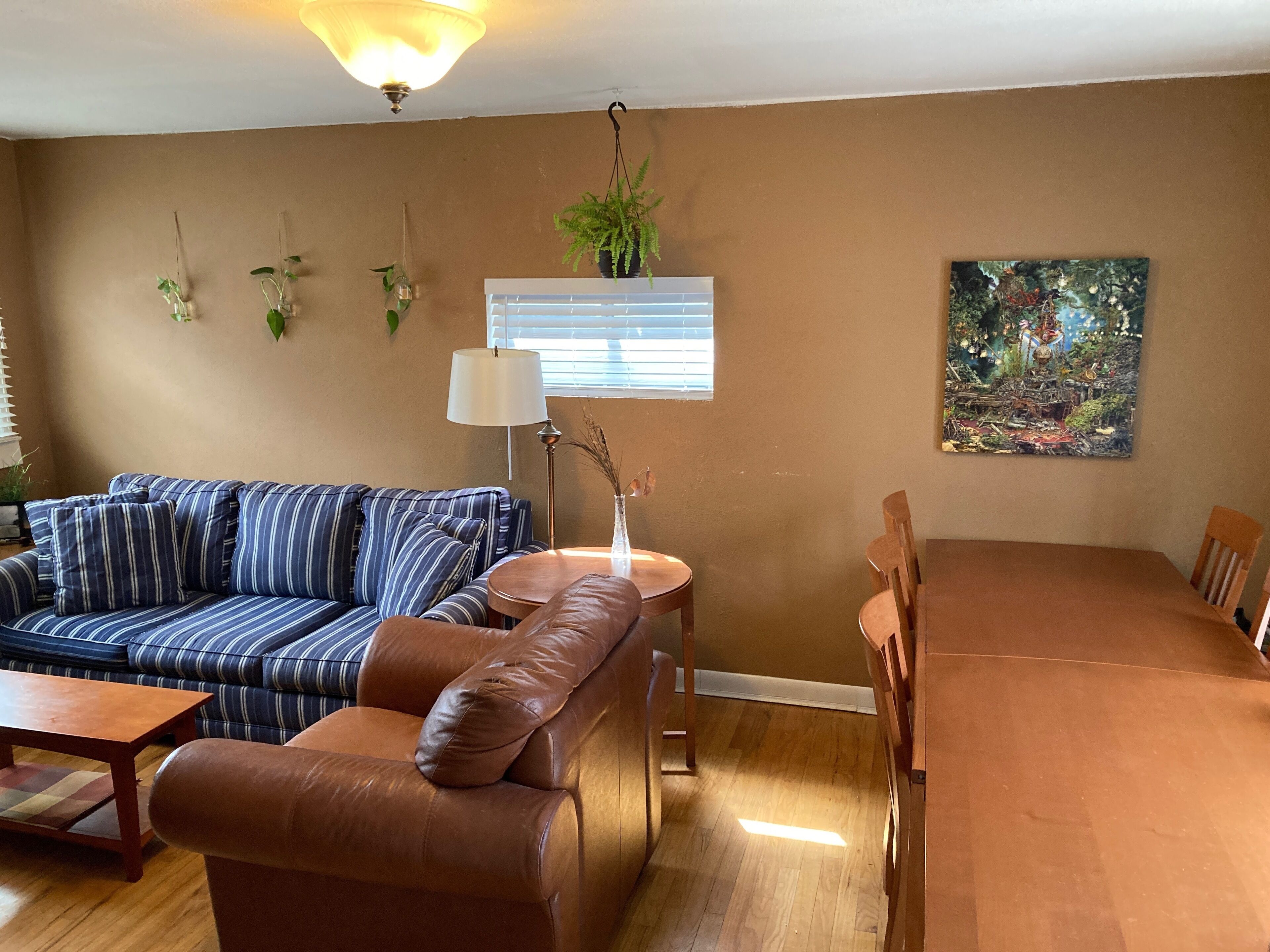 A living room with a striped sofa, a brown leather chair, a dining table, and a hanging plant.