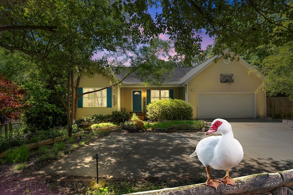 See a happy flock of Muscovy ducks in their pond right near your parking space.