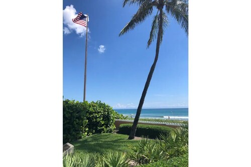 Self Distance with Pool • Disney+ • Netflix • Hulu