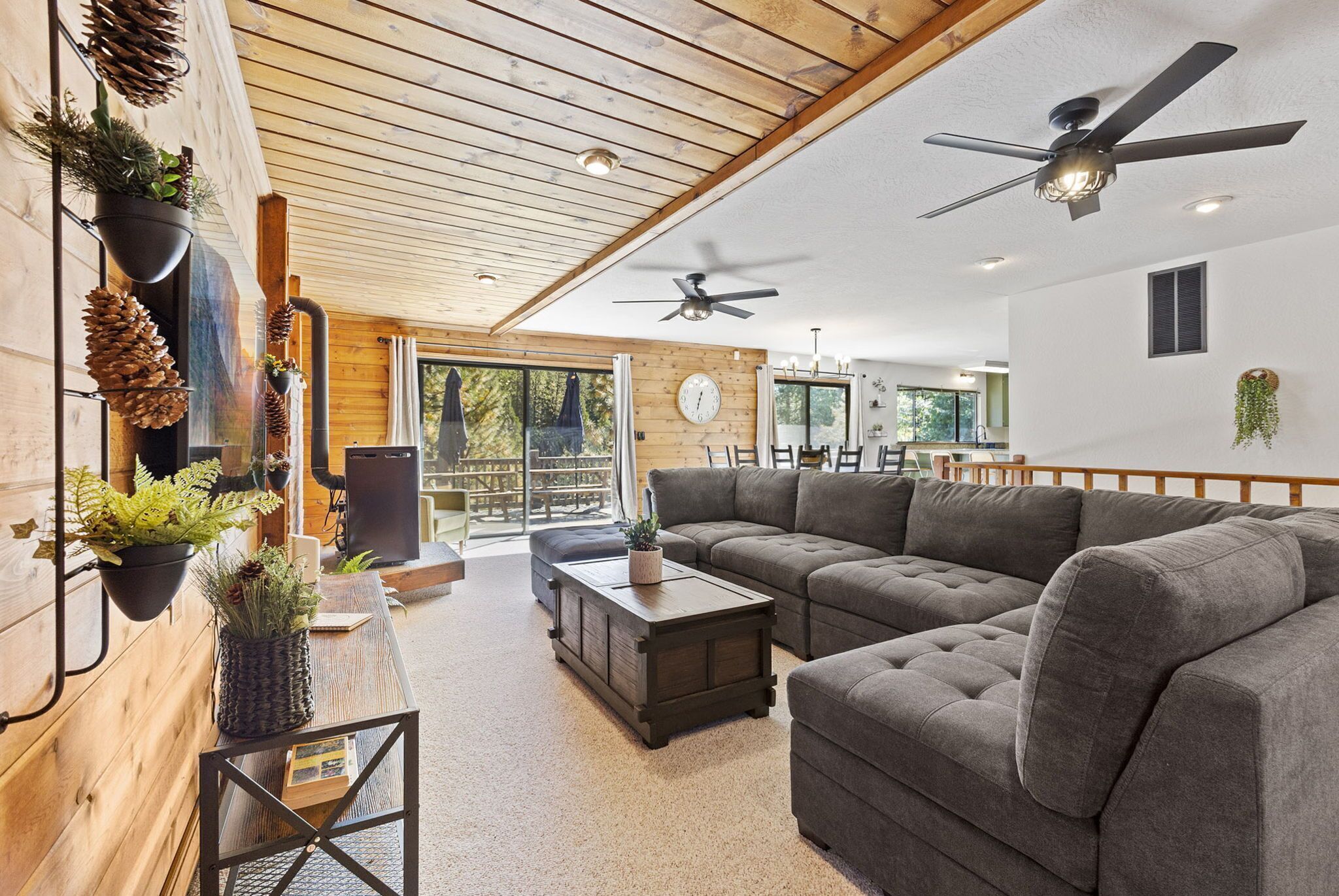 Smart TV, fireplace, video games, DVD player