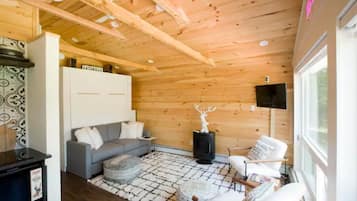 Smart TV, fireplace, books, stereo