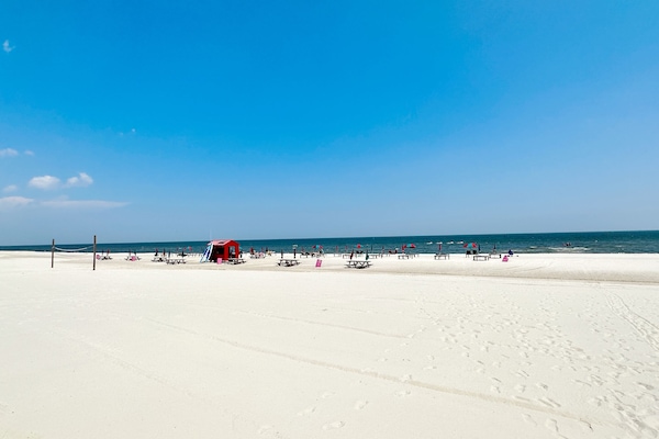 Plage, chaises longues