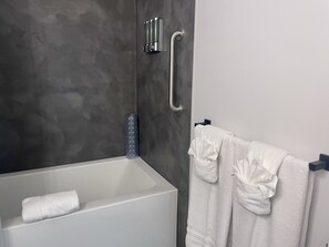 Ensemble douche/baignoire, sèche-cheveux, serviettes fournies, savon