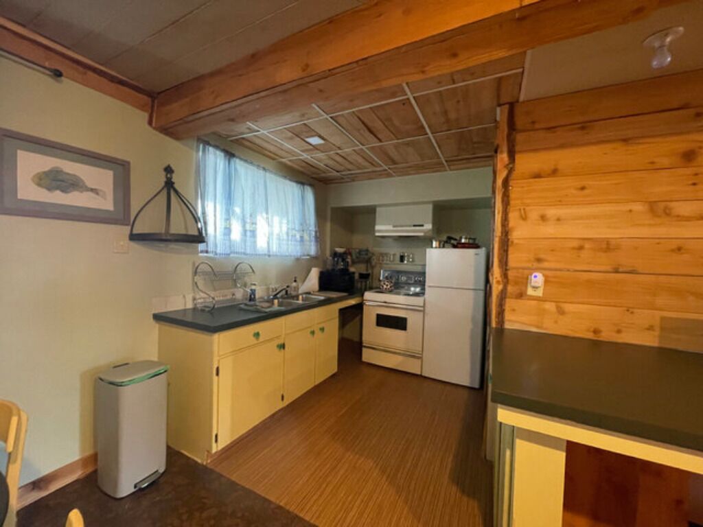 Fridge, oven, stovetop