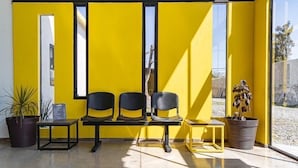 Un interior amarillo con dos sillas negras, una mesita y plantas en macetas.