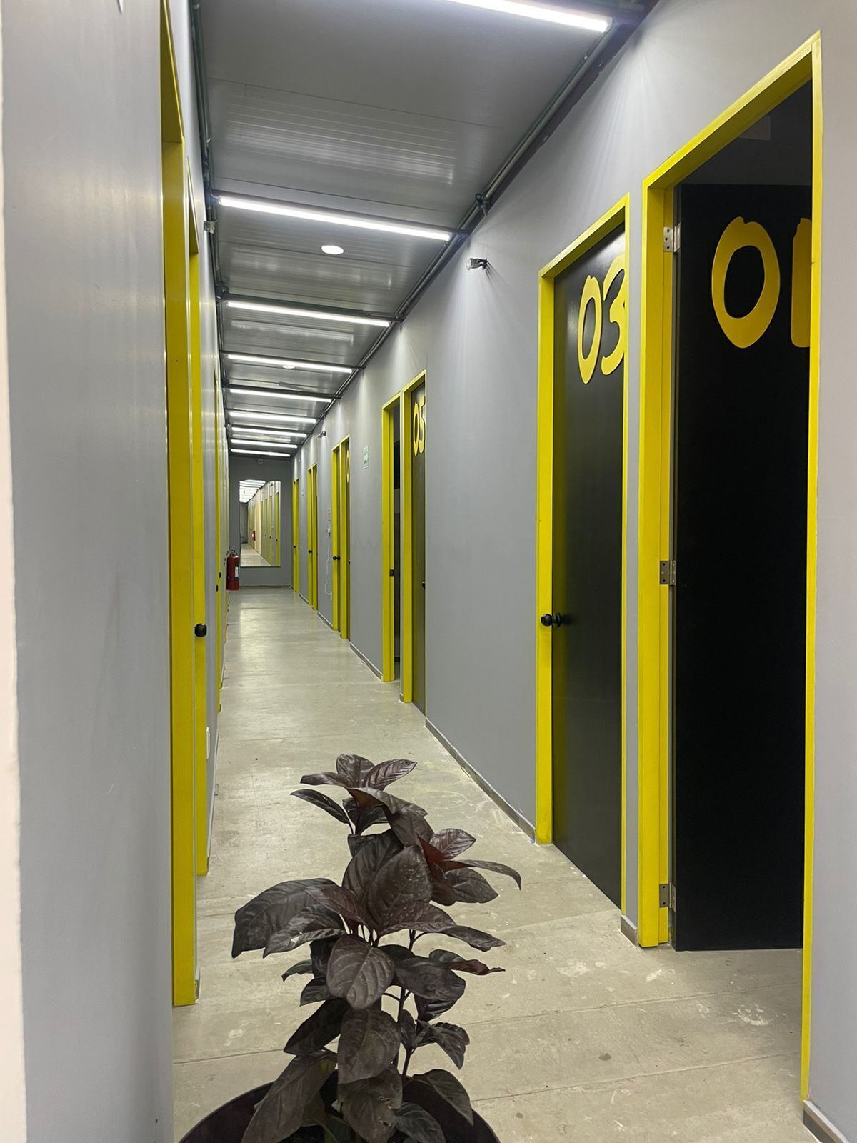 Foto - CHECK INN HOSTAL AEROPUERTO GDL - Hostel