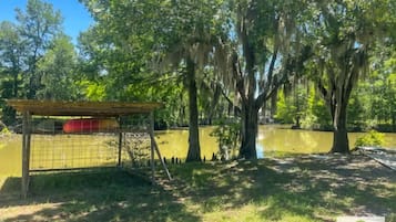 Paseos en kayak