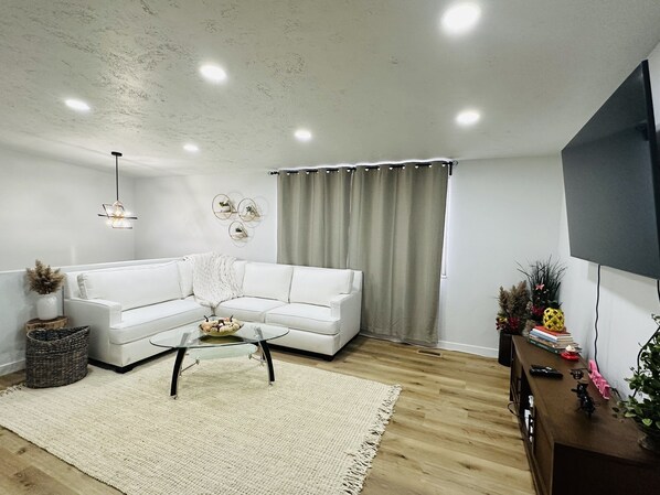 Smart TV, DVD player, books