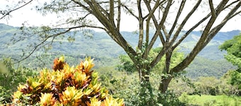 Country House Villa del Lago