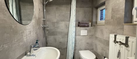 Shower, hair dryer, soap, toilet paper