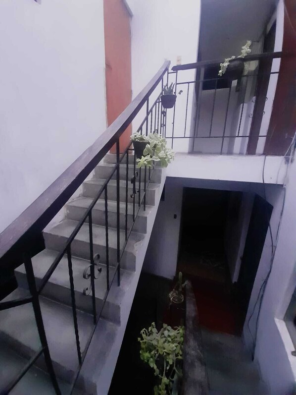 A staircase with metal railings and potted plants.