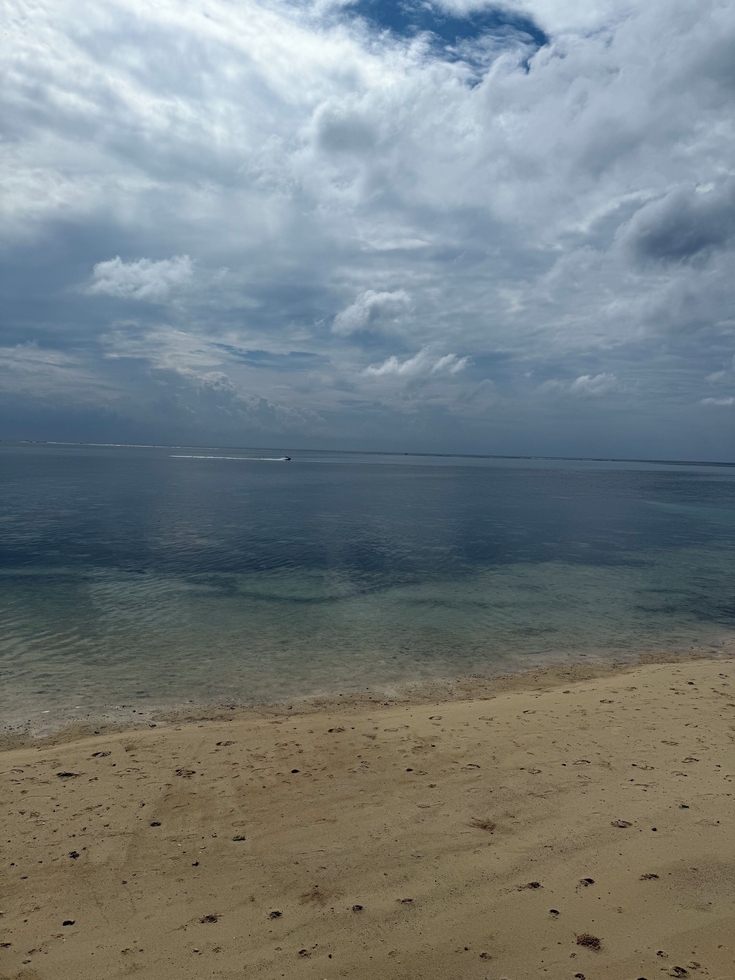 海灘