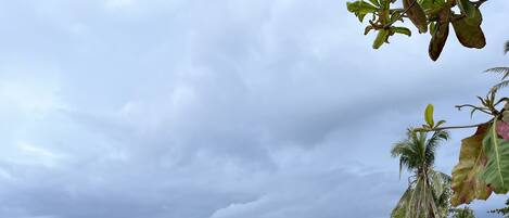 A person standing on a concrete path by a beach with a cloudy sky.