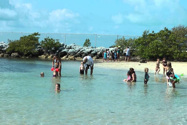 Playa