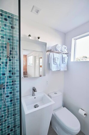 Shower, hair dryer, bidet, towels