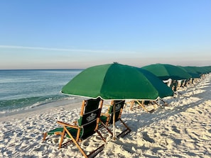 A row of beach chairs and umbrellas along a sandy beach with the ocean in the background.
