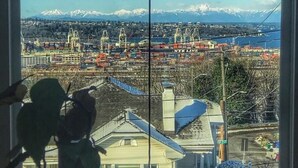 A window view of a residential area with a clear sky, a distant mountain range, and a waterfront with industrial buildings.