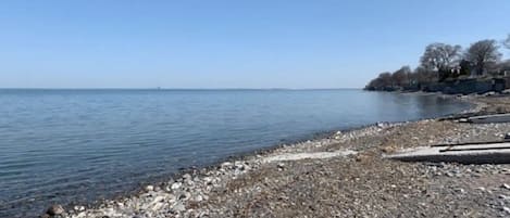 Camastros y toallas de playa